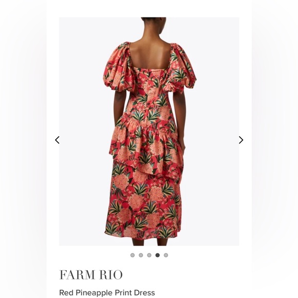 SO cute Farm Rio dress size small! Only worn one time and in perfect condition! - Picture 4 of 7